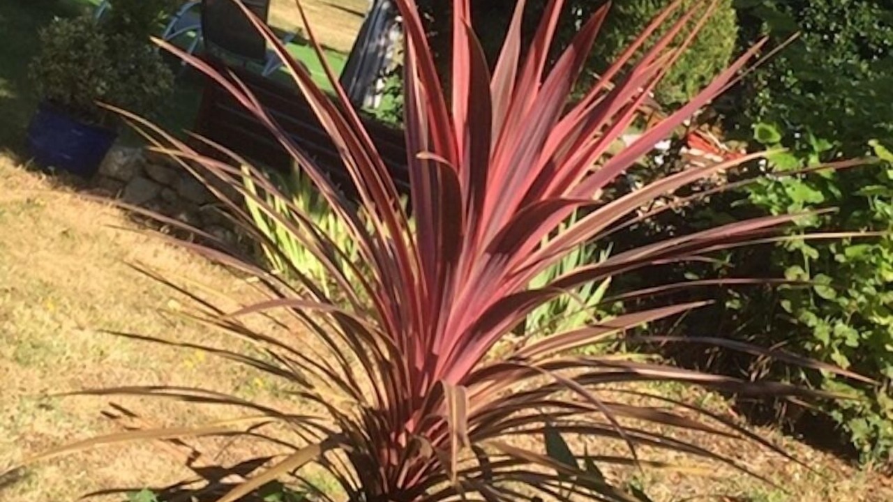Photo of Outdoor in Douchapt