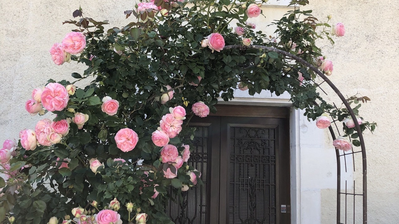 Photo of Outdoor in Saint-Hilaire-la-Palud