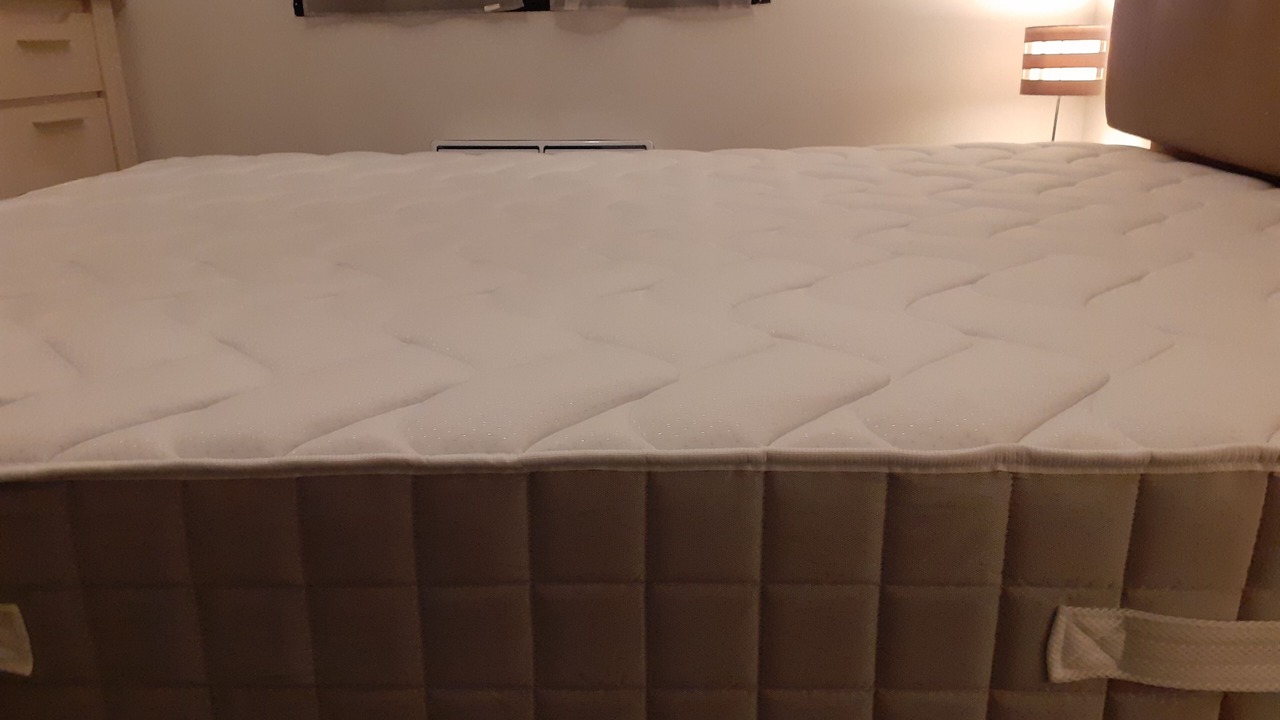 Photo of Bedroom in Gujan-Mestras