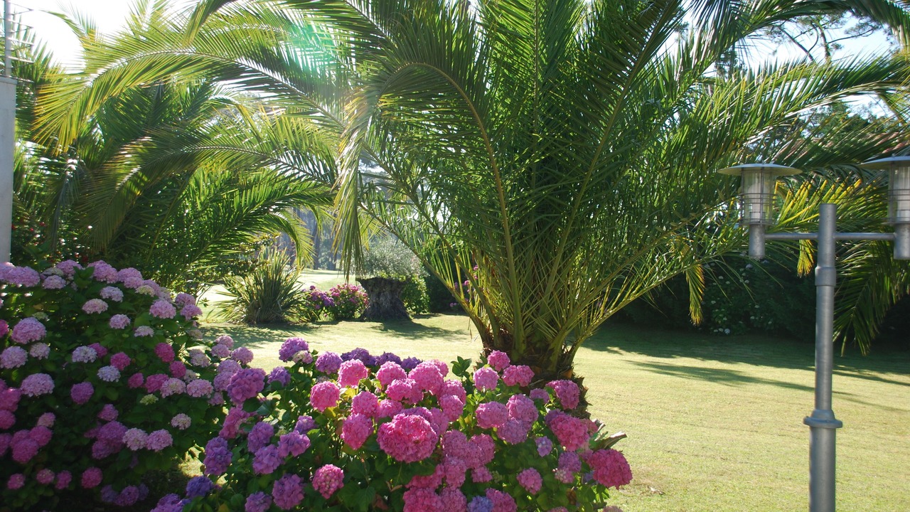 Photo of Outdoor in Anglet