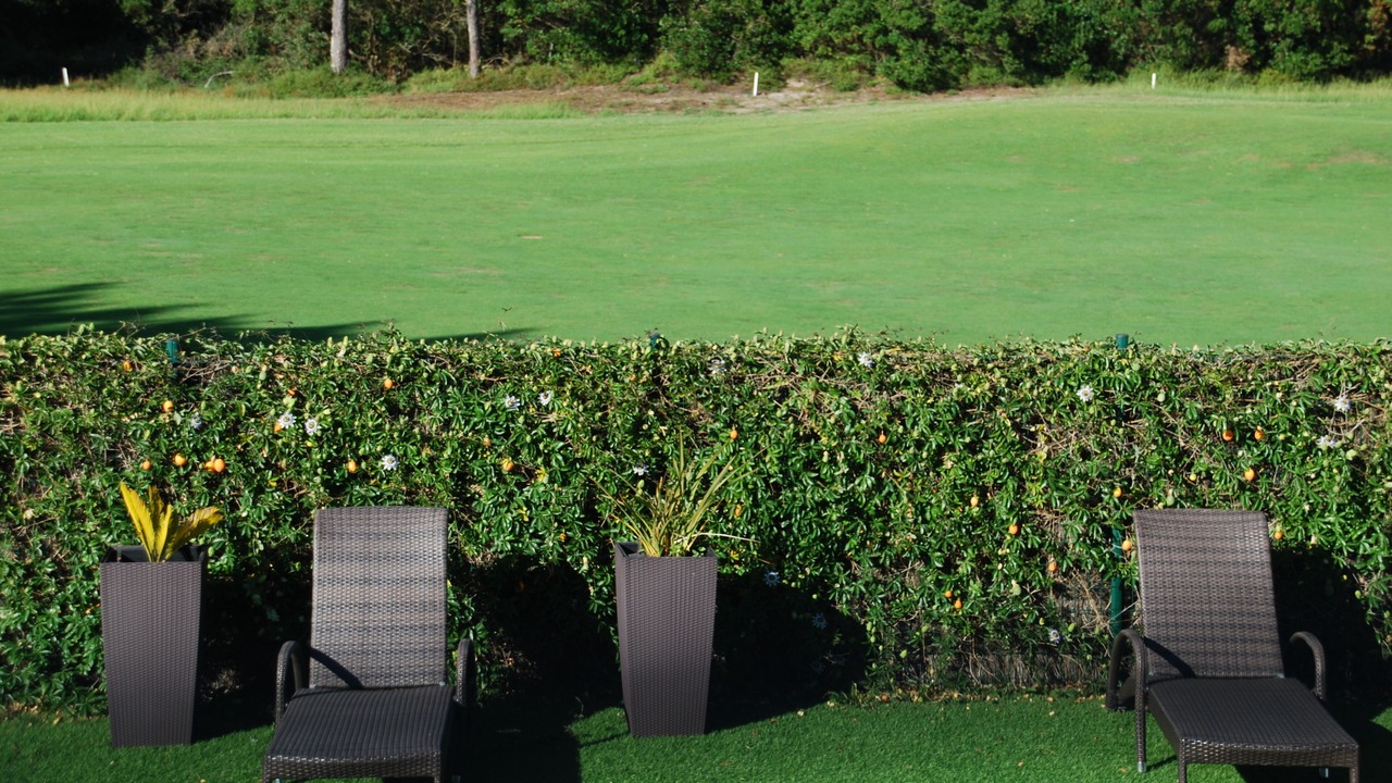 Photo of Outdoor in Anglet