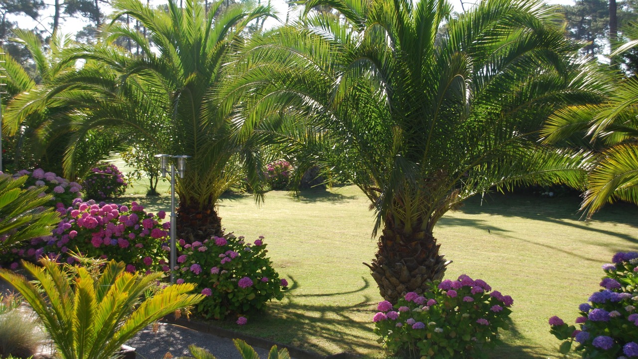 Photo of Outdoor in Anglet