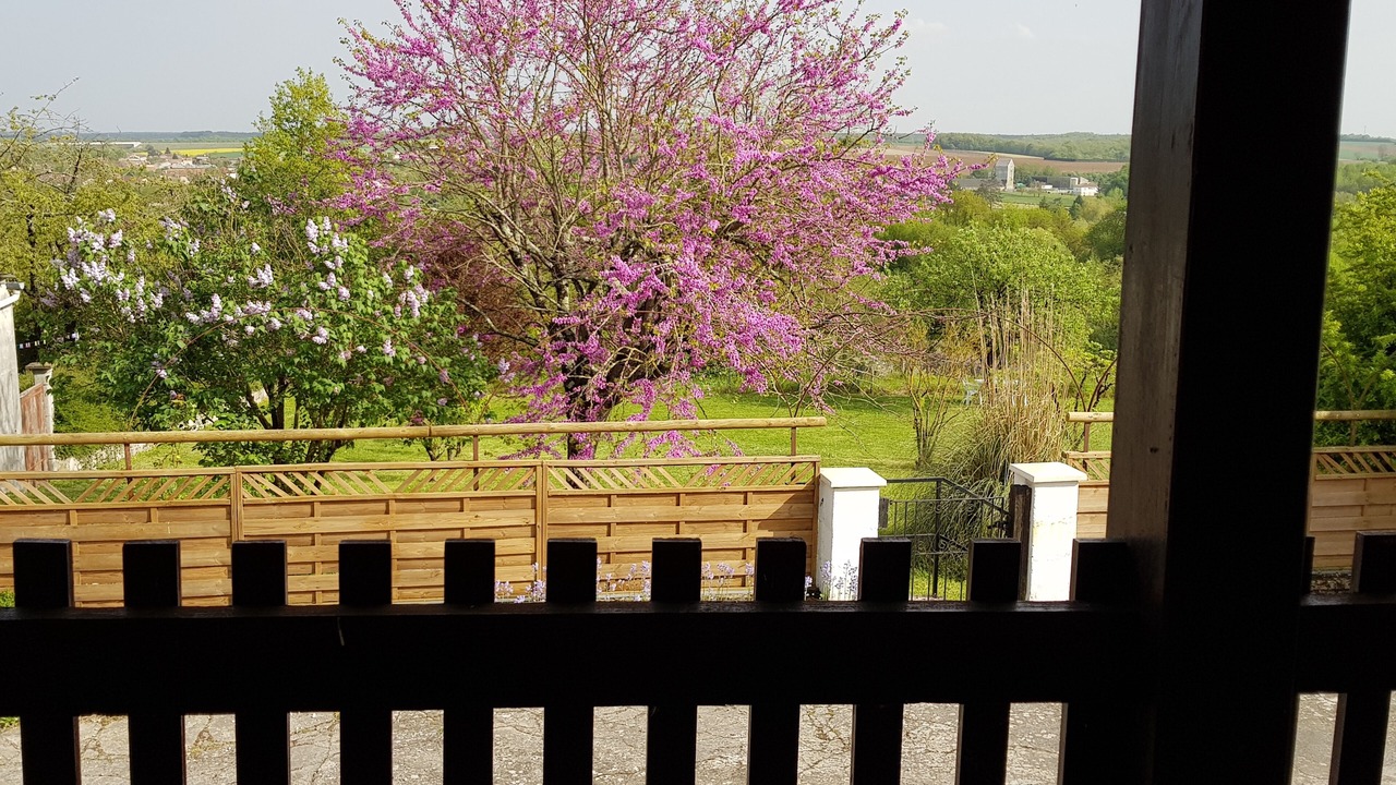 Photo of Patio Balcony in Luxe