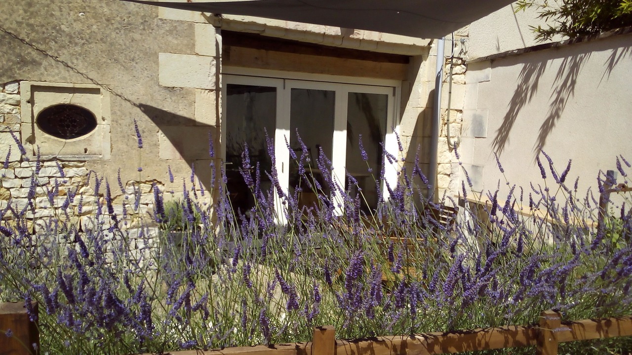 Photo of Outdoor in Loudun