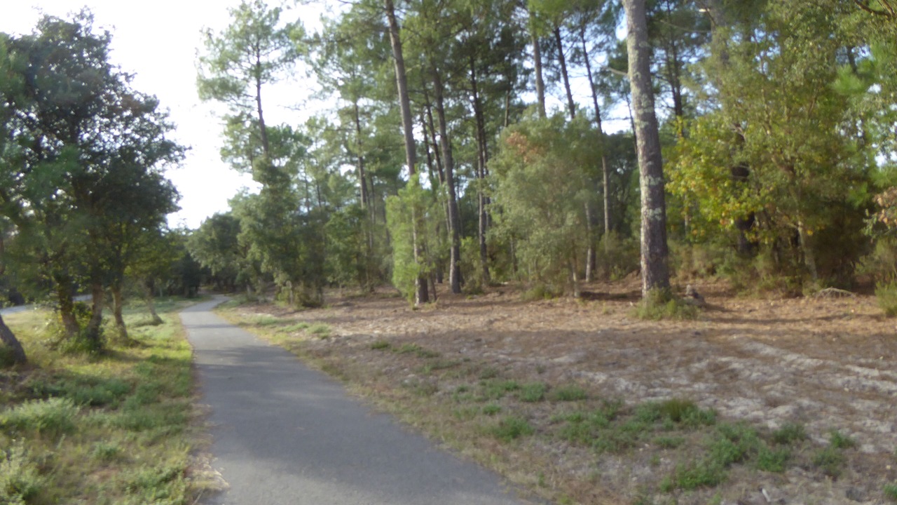 Photo of Outdoor in Vendays-Montalivet