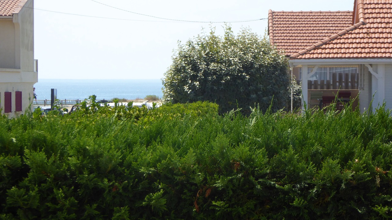 Photo of Outdoor in Vendays-Montalivet