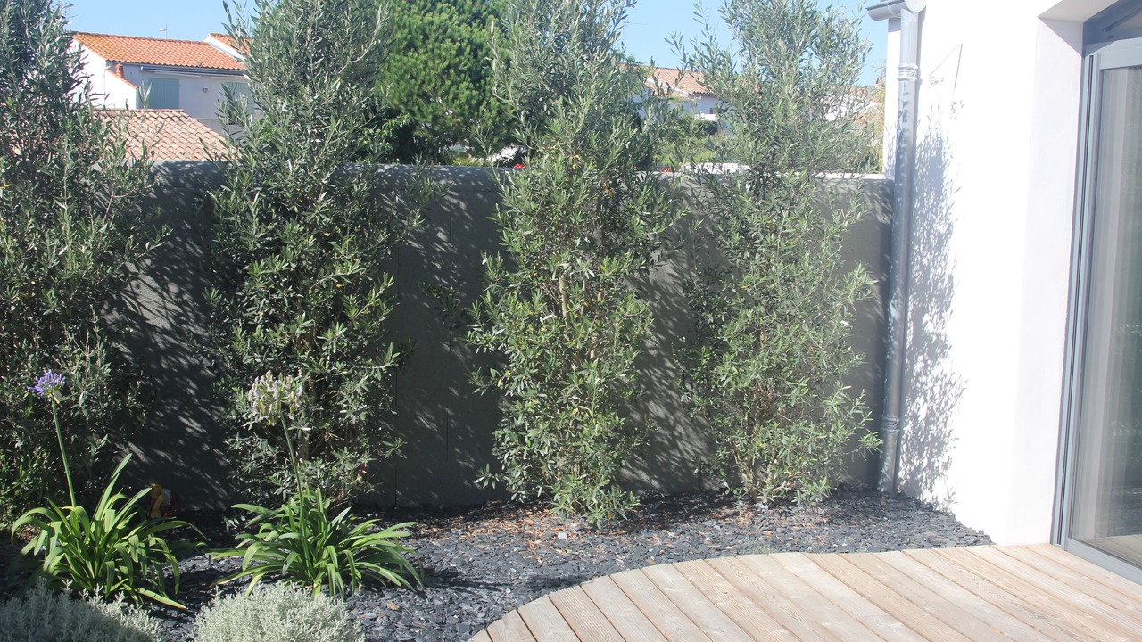 Photo of Outdoor in Rivedoux-Plage