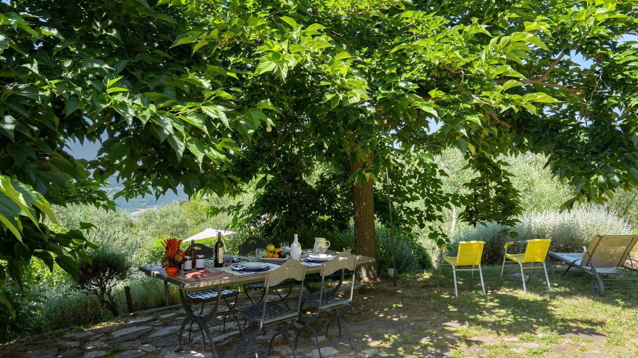 Photo of Others in Pontassieve