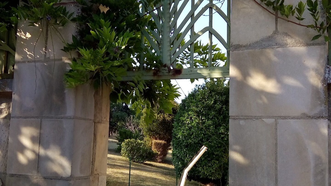 Photo of Outdoor in Saint-Savin
