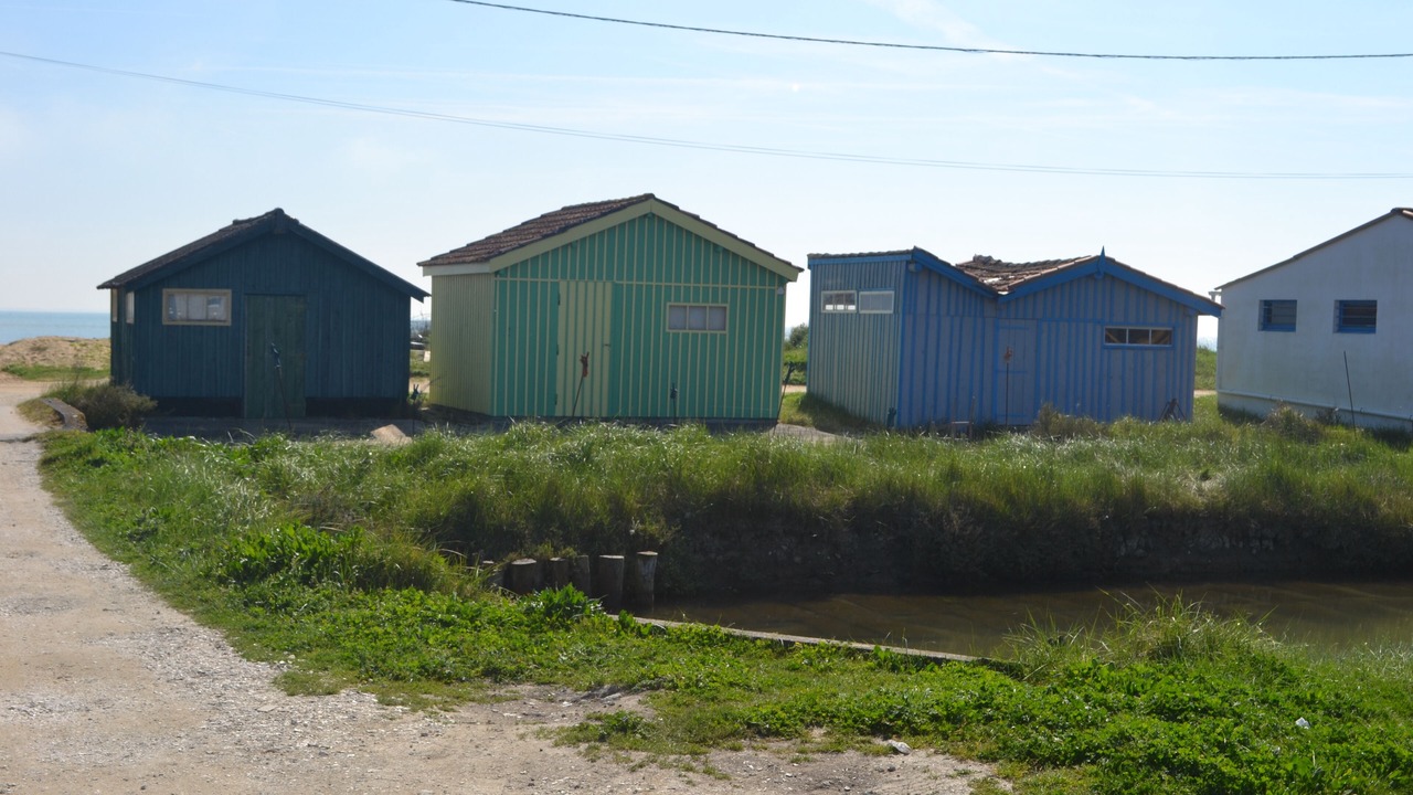 Photo of Outdoor in L'Echardiere