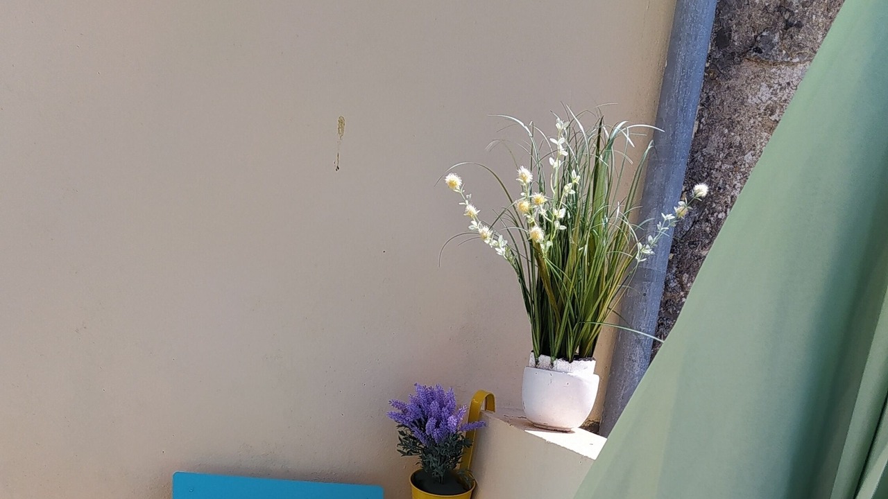 Photo of Outdoor in Saint Nazaire sur Charente
