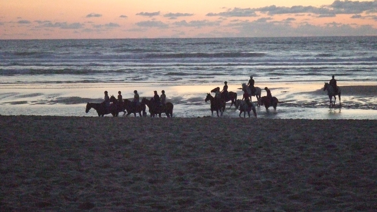 Photo of Others in Mimizan