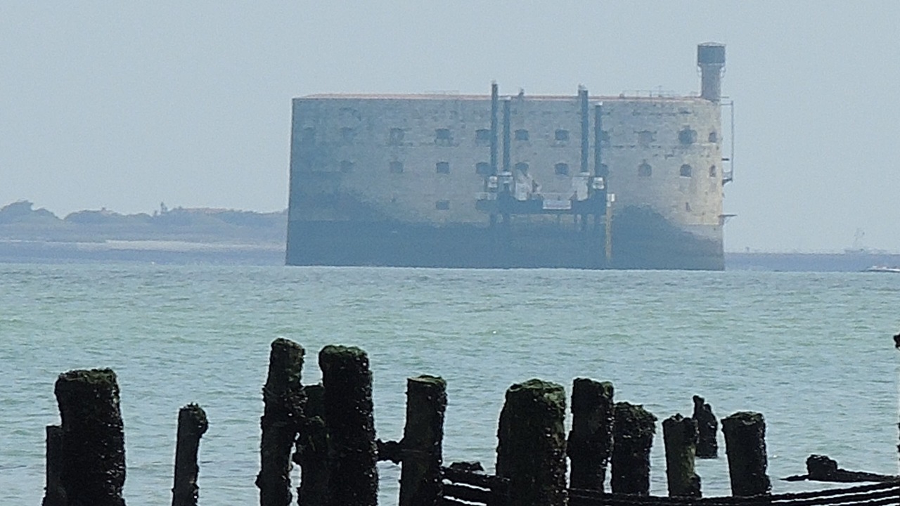 Photo of Others in Saint-Denis-d'Oleron