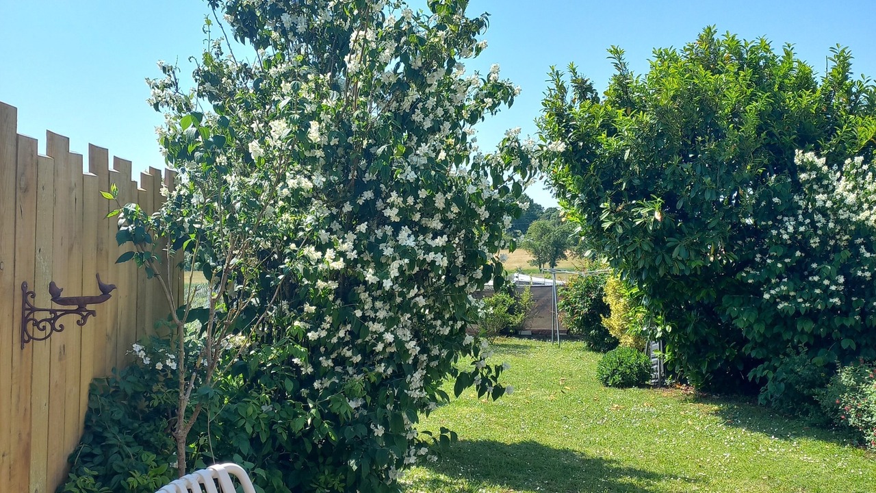 Photo of Patio Balcony in Heirs-Brouage