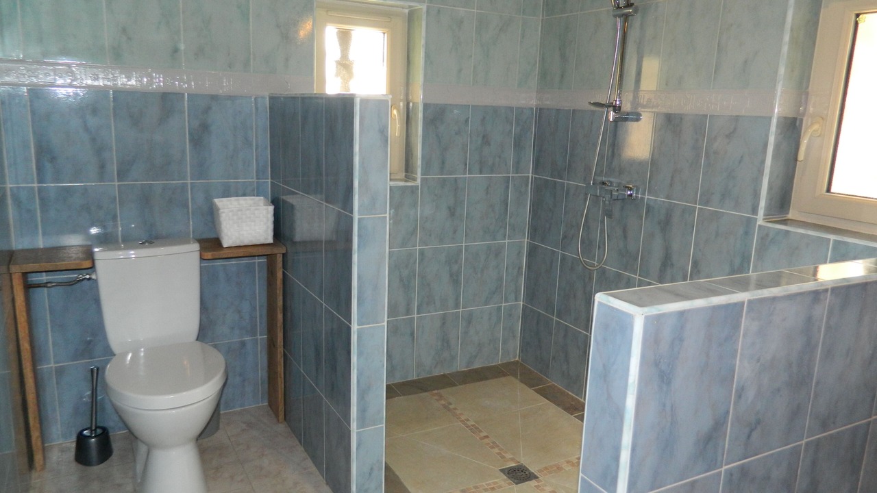 Photo of Bathroom in Plaisance