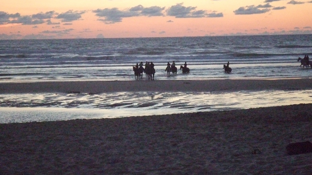 Photo of Others in Mimizan