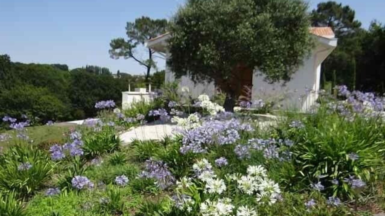 Photo of Outdoor in Arcangues