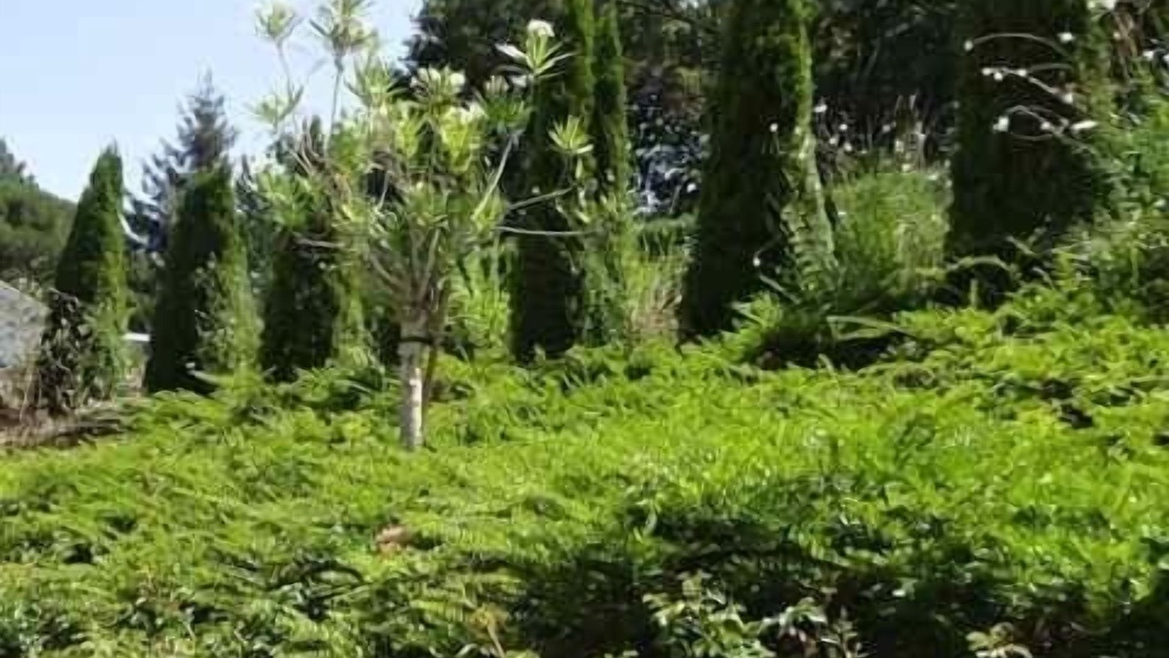 Photo of Outdoor in Arcangues