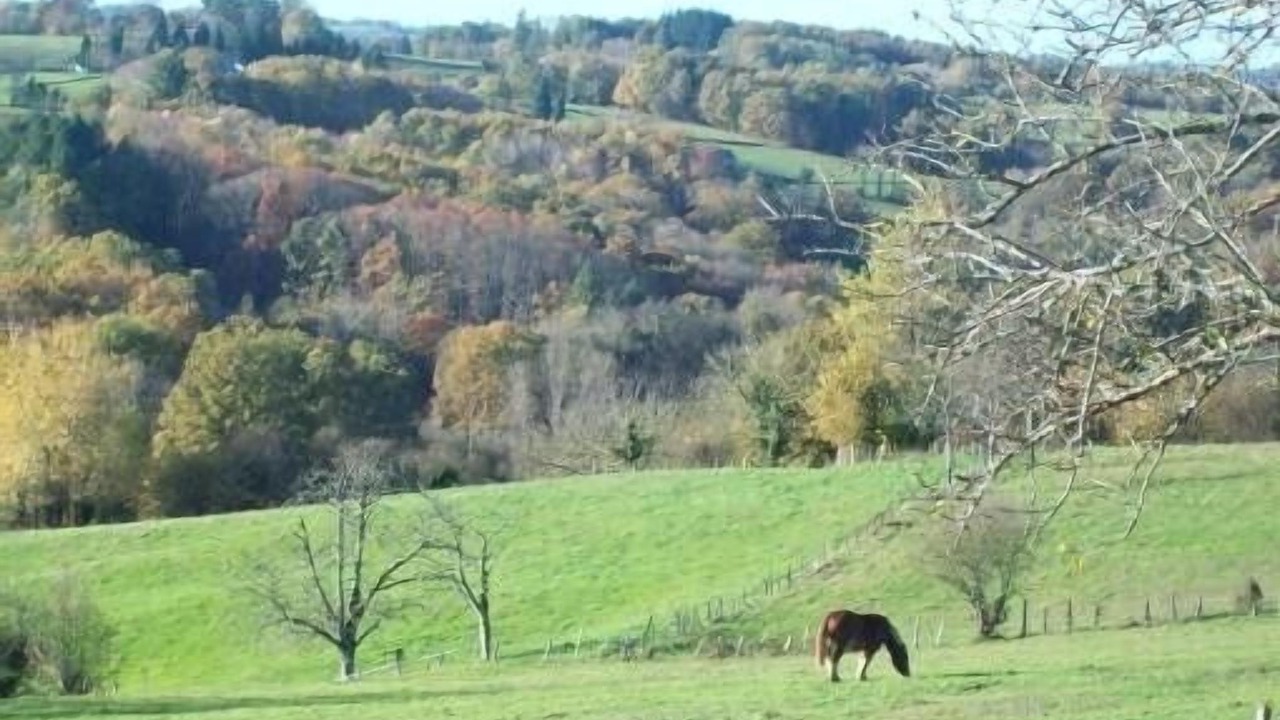Photo of Outdoor in Saint-Hilaire-Peyroux