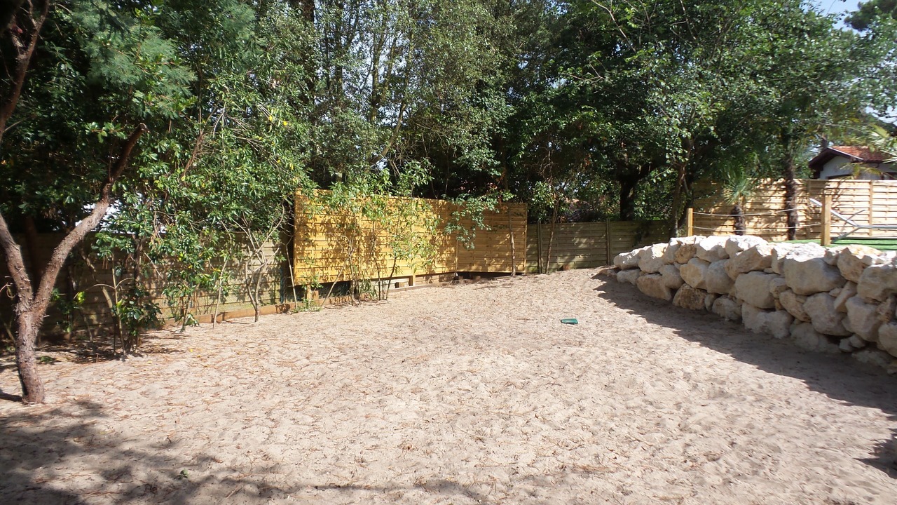 Photo of Outdoor in Arcachon