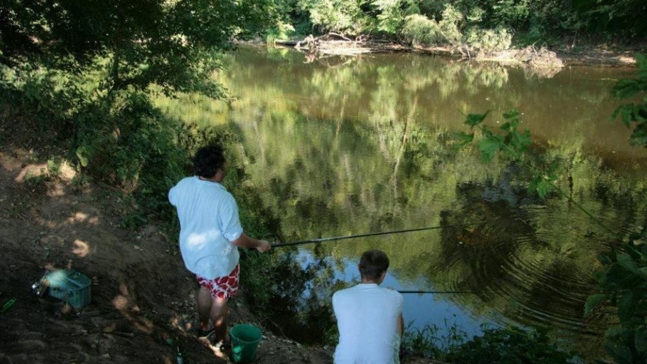 Photo of Others in La Fagette