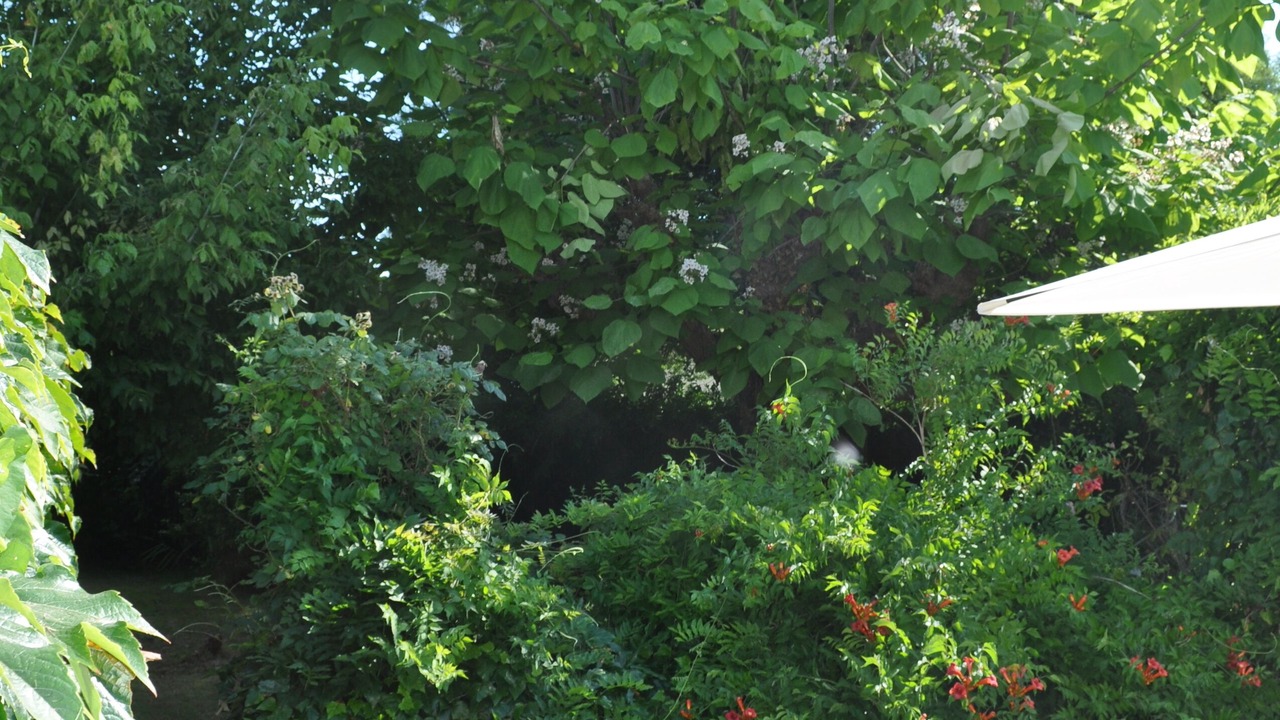 Photo of Outdoor in Le Grand-Village-Plage