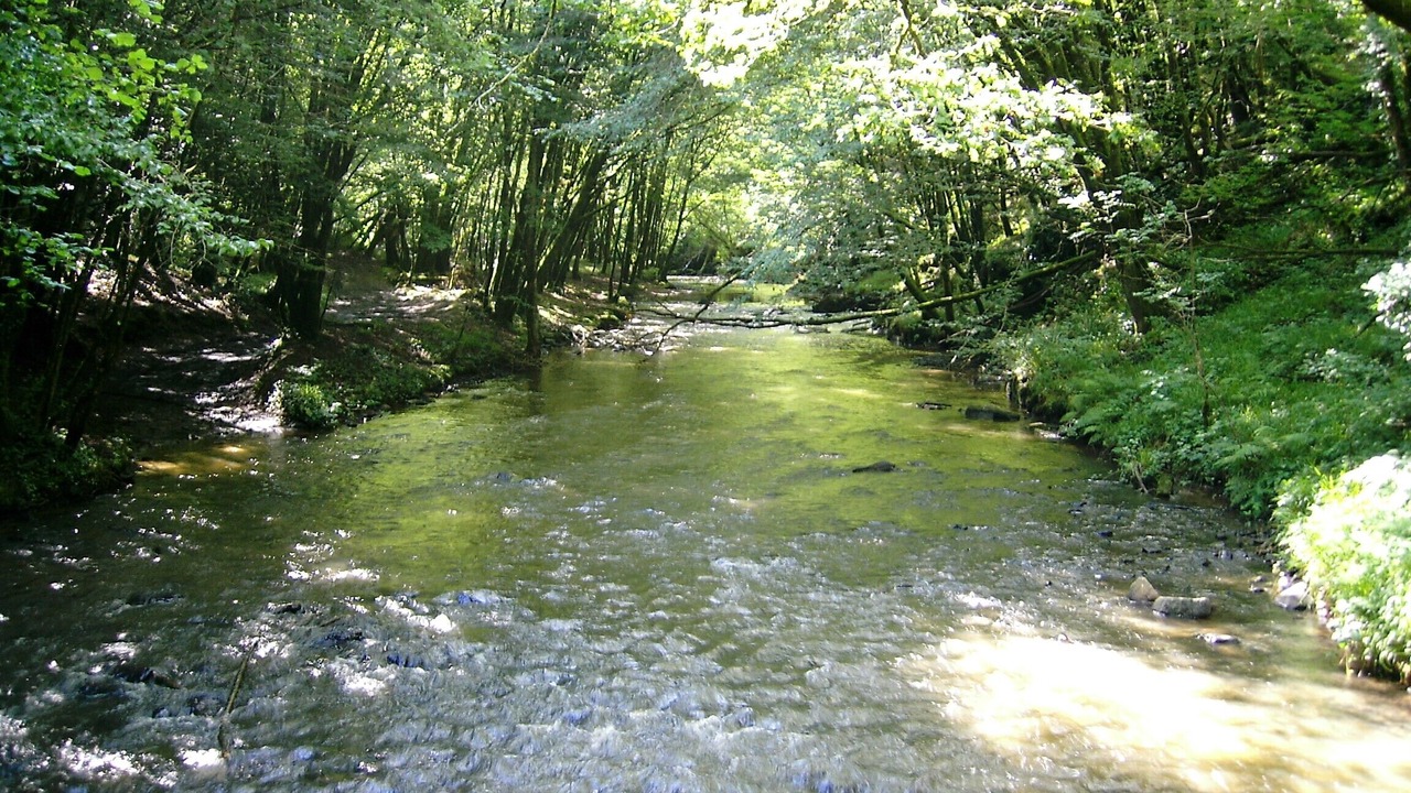 Photo of Outdoor in Ayen
