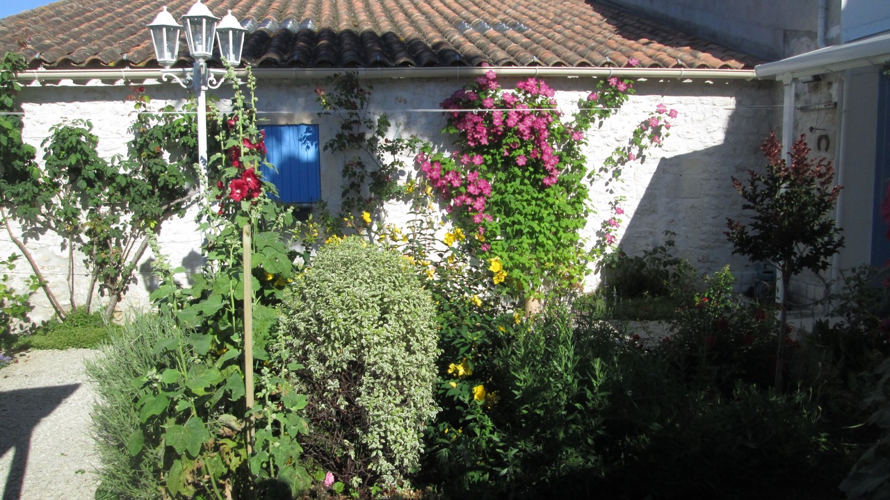 Photo of Outdoor in Marennes