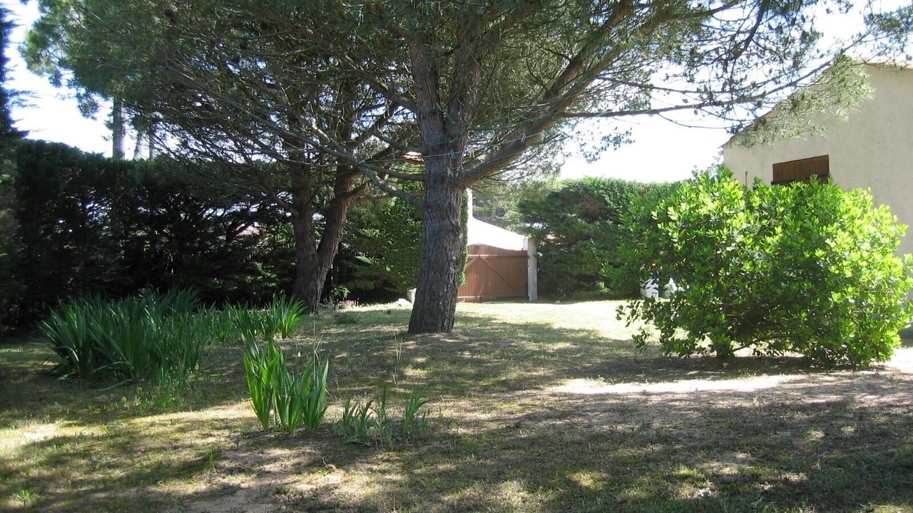 Photo of Outdoor in Saint-Georges-d'Oleron