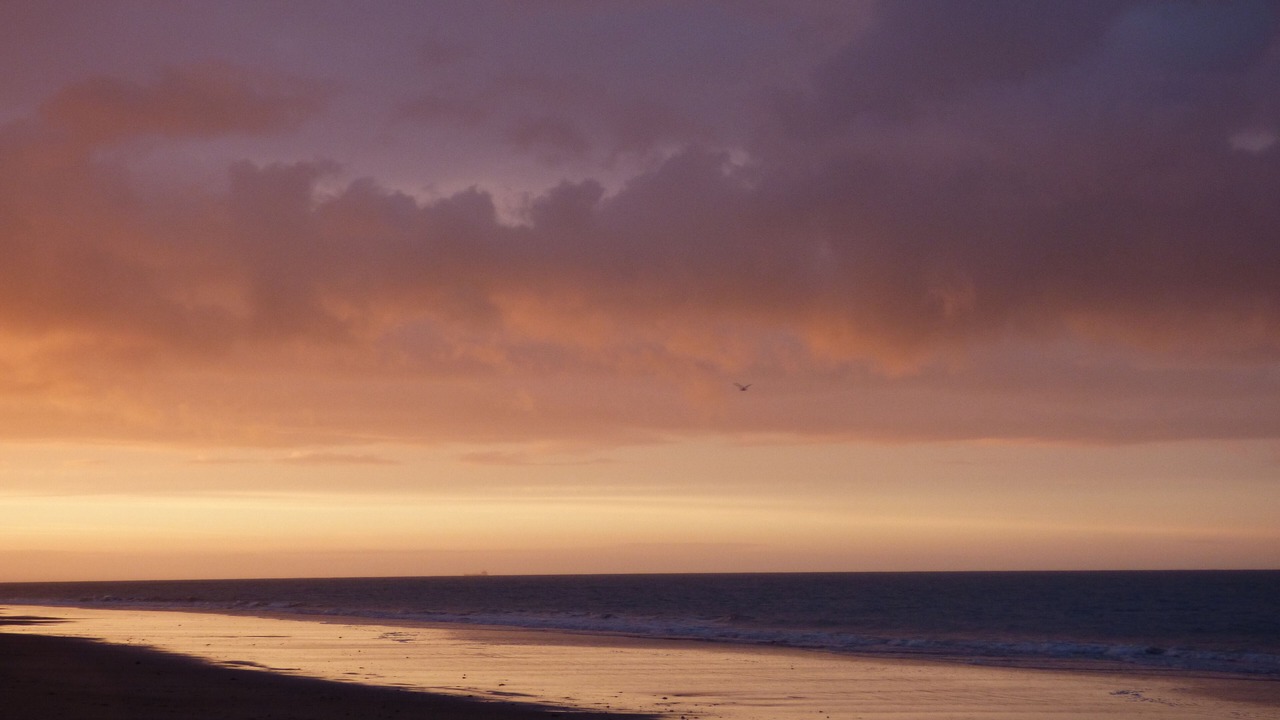 Photo of Others in Le Bois-Plage-en-Re
