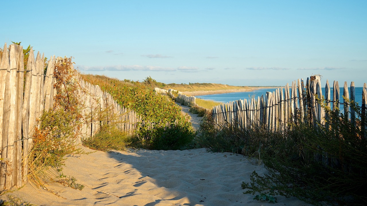 Photo of Others in Le Bois-Plage-en-Re