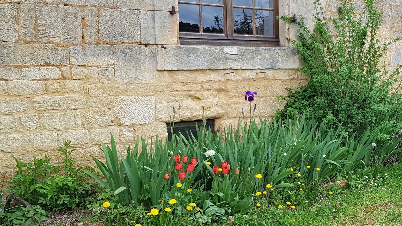 Photo of Outdoor in Cenac-et-Saint-Julien