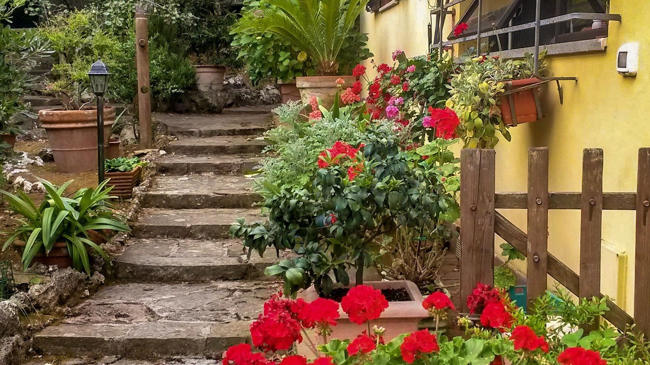 Photo of Others in Ansedonia
