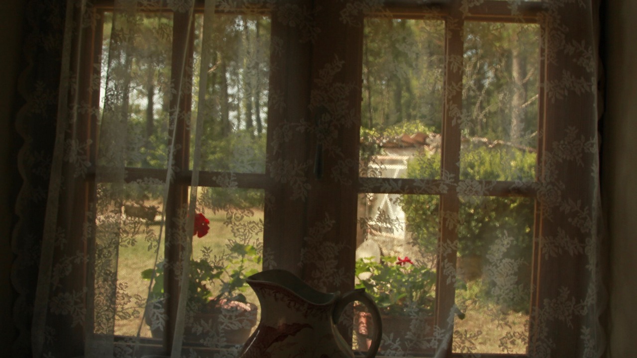 Photo of Others in Blanquefort-sur-Briolance