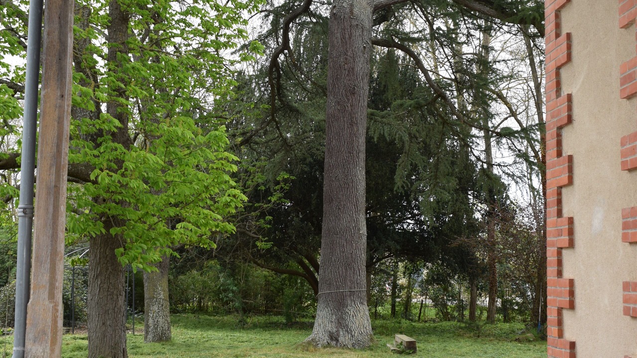 Photo of Outdoor in Lafitte-sur-Lot