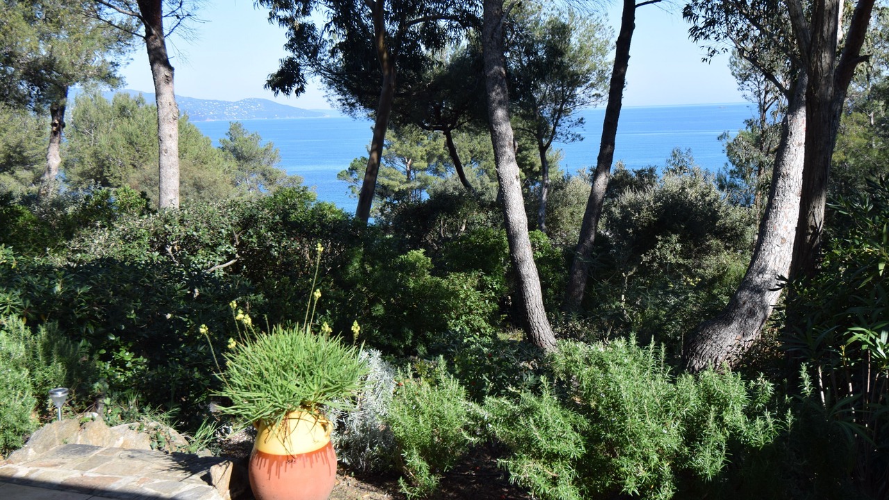 Photo of Outdoor in Cap Benat