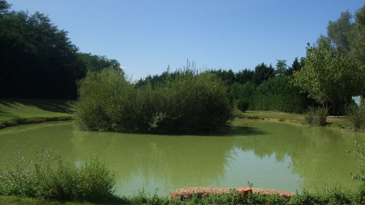 Photo of Outdoor in Clermont