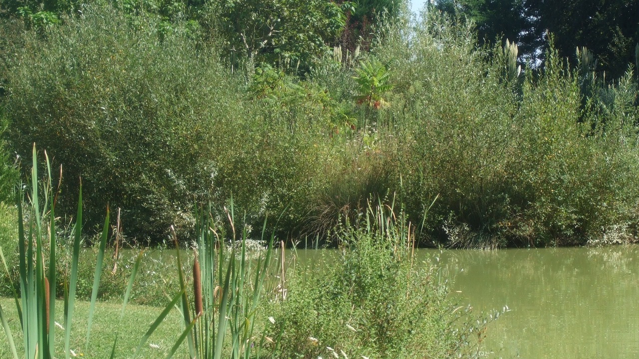 Photo of Outdoor in Clermont
