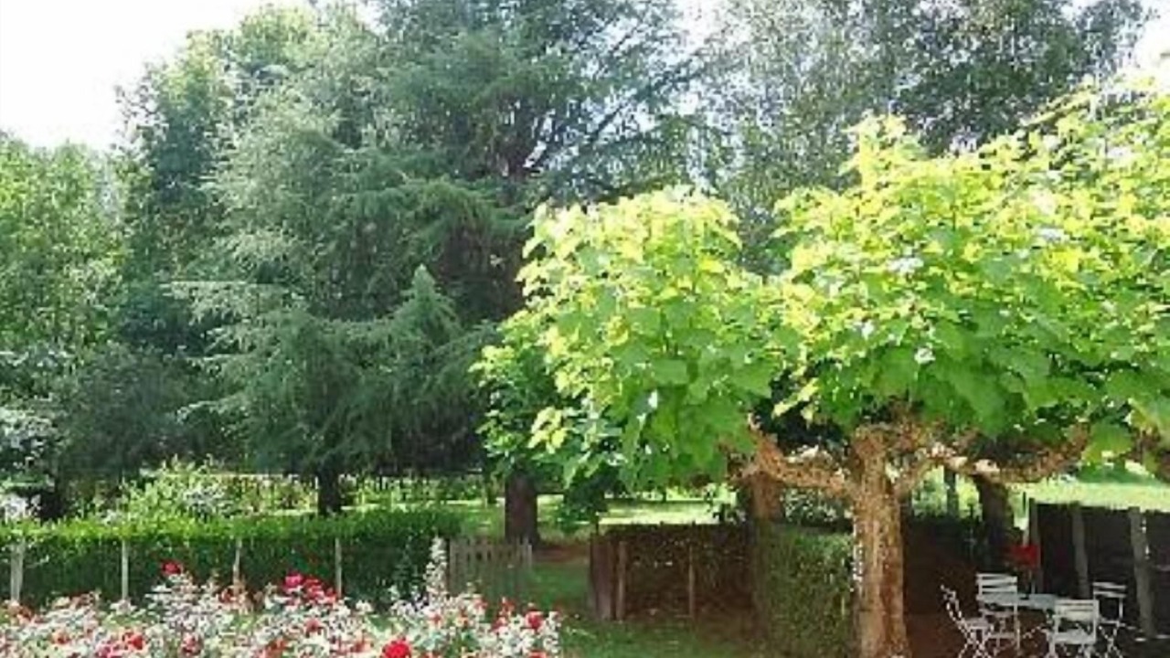 Photo of Outdoor in Cales