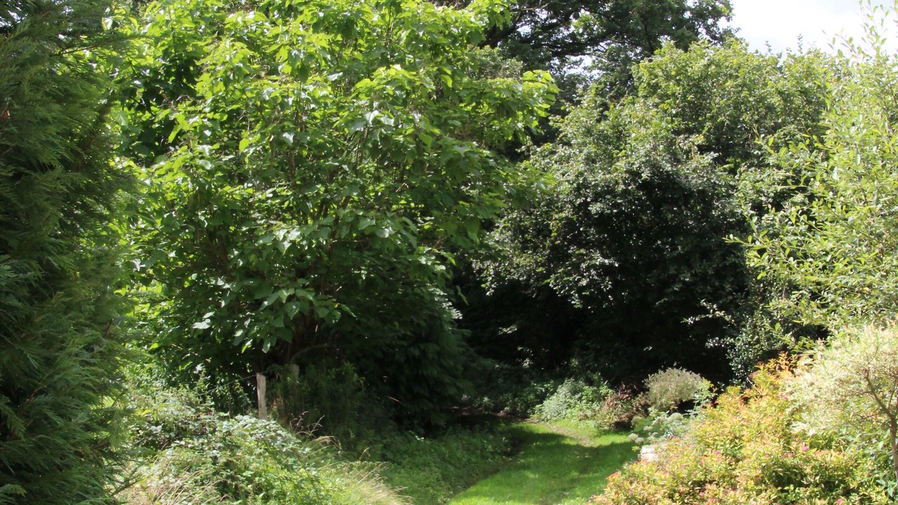 Photo of Outdoor in Saint-Moreil