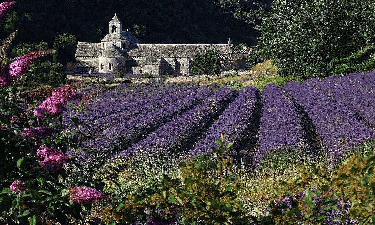 Photo of Outdoor in Cabrieres-d'Avignon