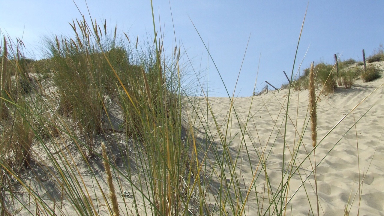 Photo of Others in Royan