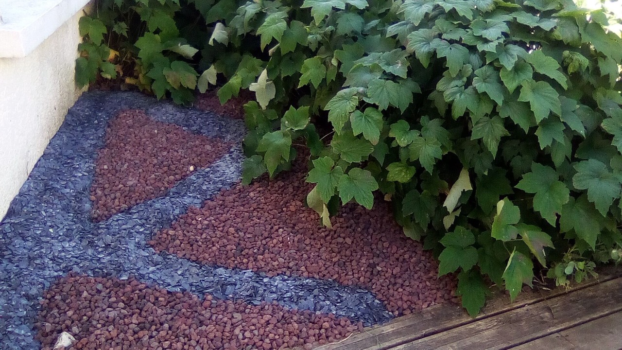 Photo of Outdoor in Les Mathes