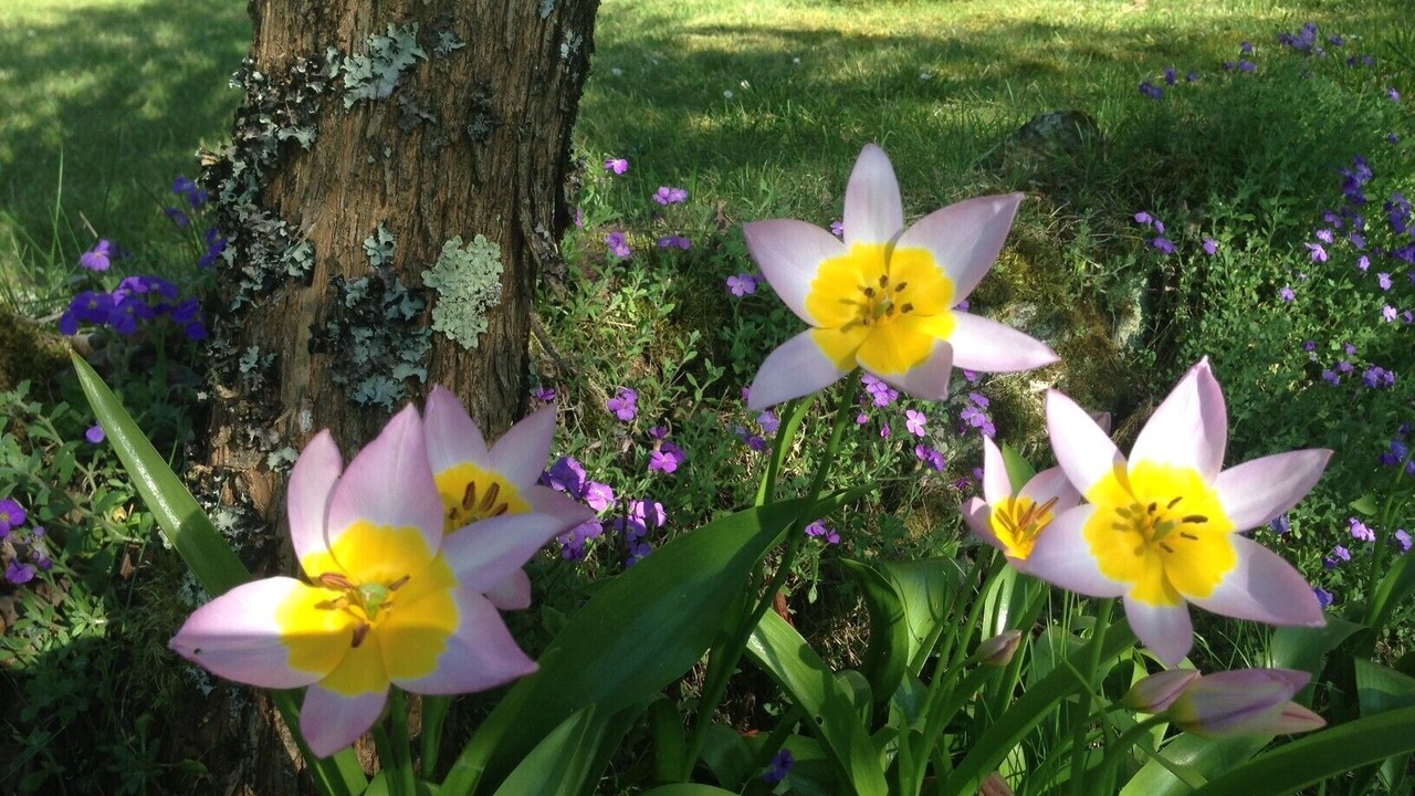 Photo of Outdoor in Sainte-Alvere