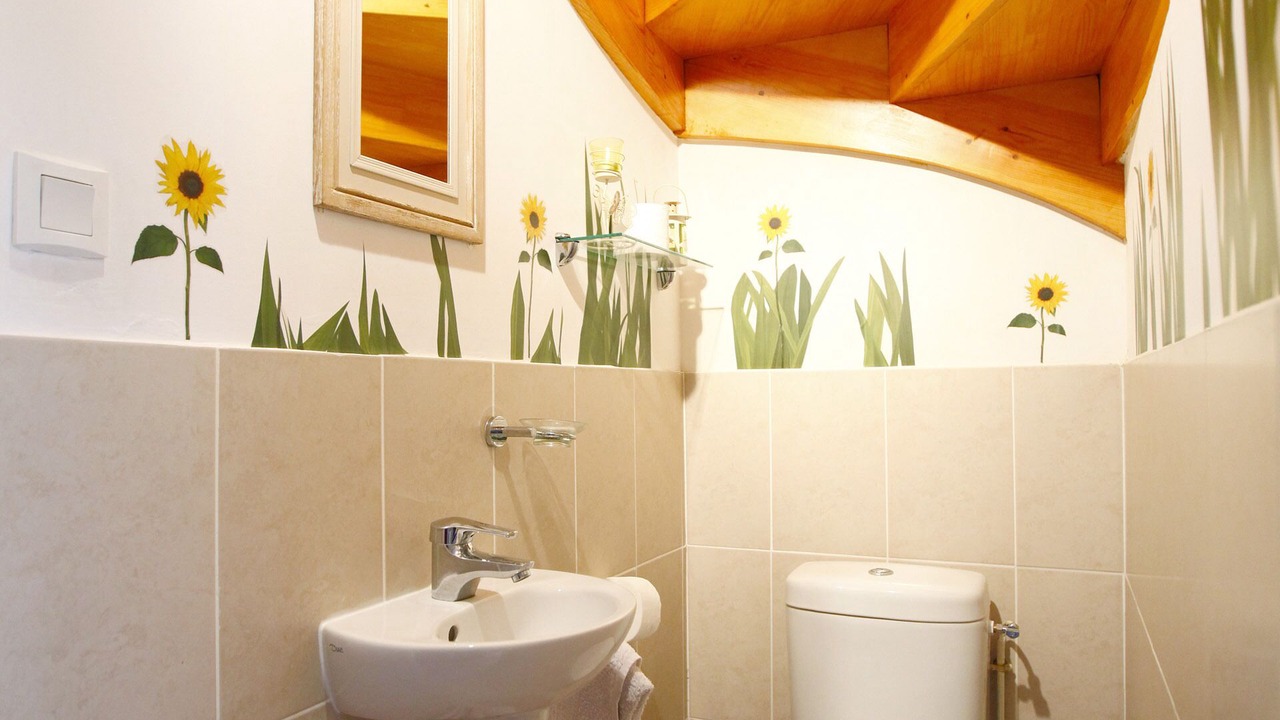 Photo of Bathroom in Hendaye