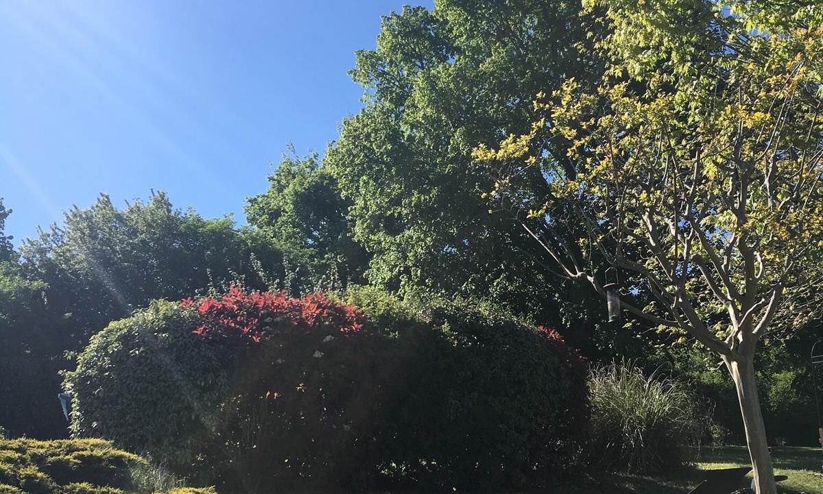 Photo of Outdoor in Mauzac-et-Grand-Castang