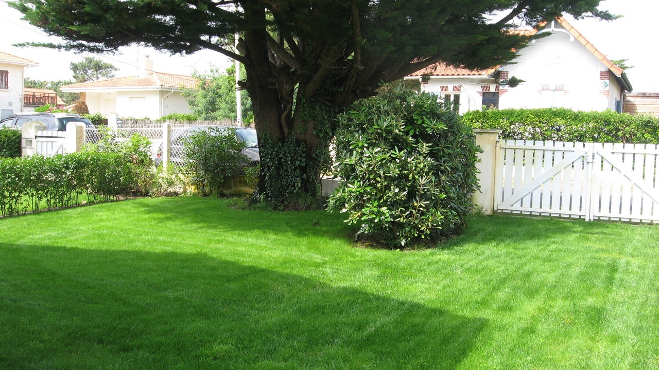 Photo of Outdoor in Mimizan