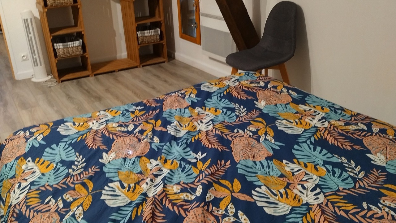 Photo of Bedroom in Bussiere-Badil