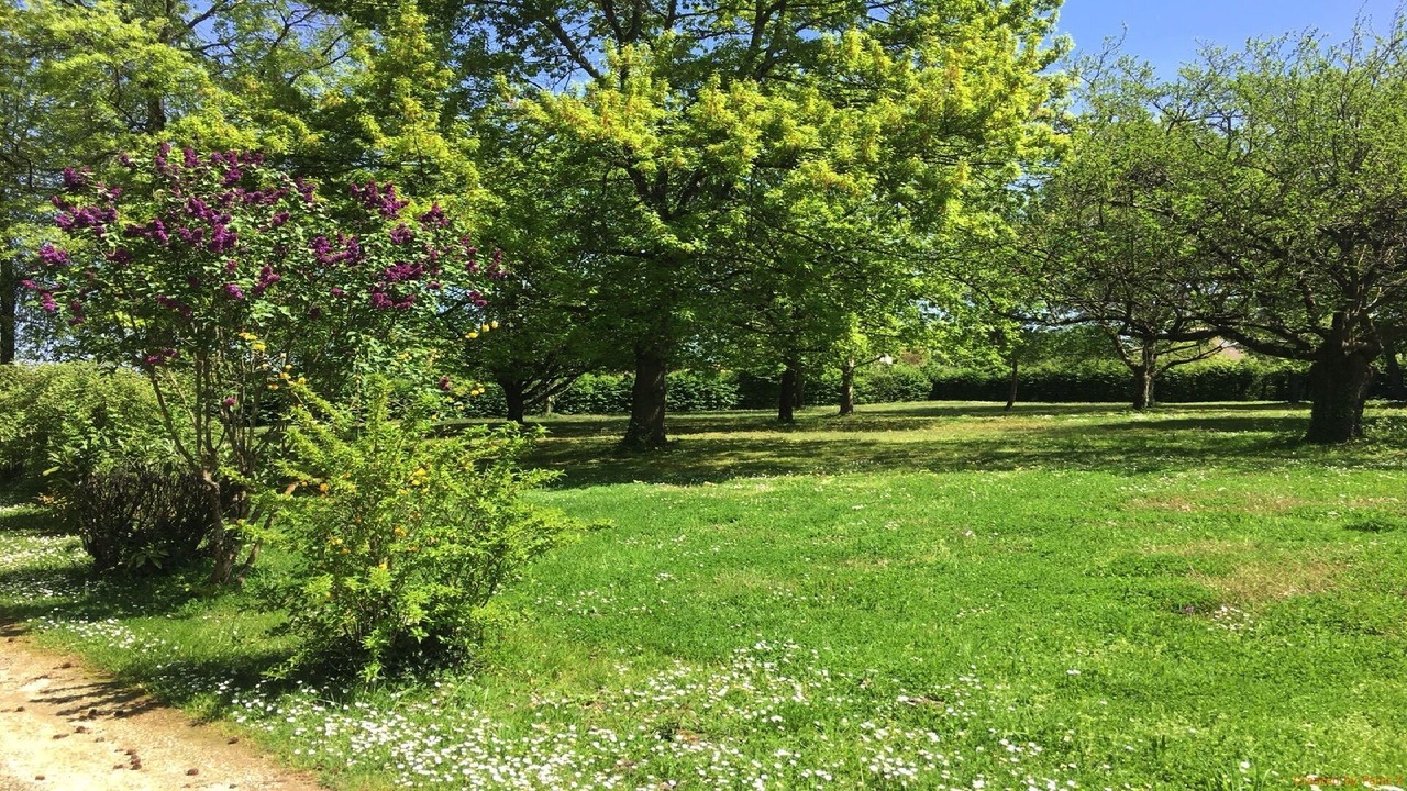 Photo of Outdoor in Saint-Loubes