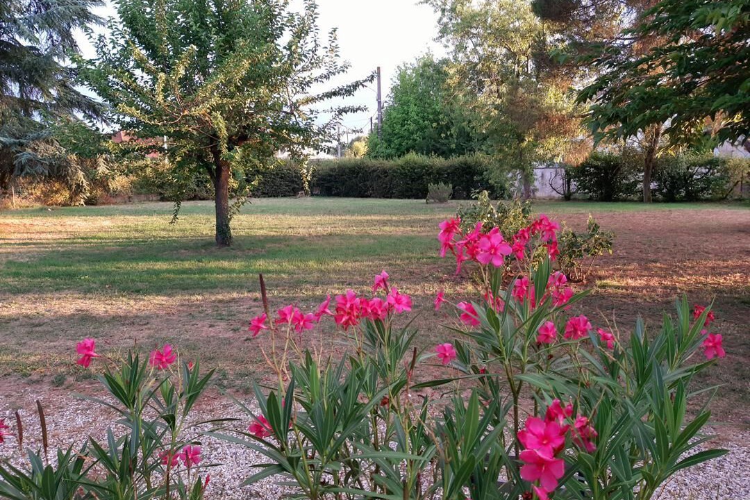 Photo of Outdoor in Saint-Loubes
